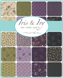 Iris Ivy 2