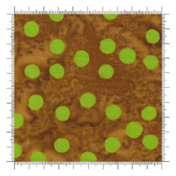 Polka Pop Batiks Elementals Peridot Fern