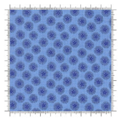 Reef Sand Dollar Swordfish