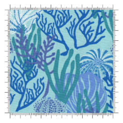 Reef Coral Reef Algae