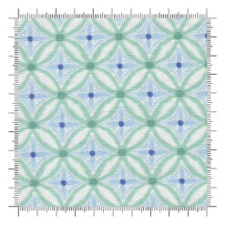 Reef Medallion Algae