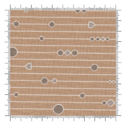 A song to sing - Fairy Curtains Tortilla