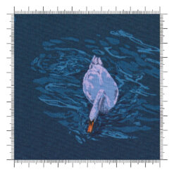 Good Gracious Swanmore Evening