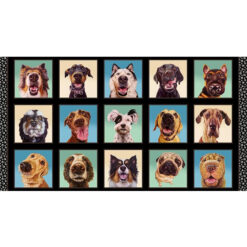 Follow Your Nose Black - Panel