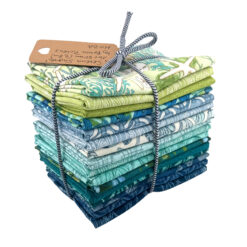 Serena Shores Bundle by Robin Pickens
