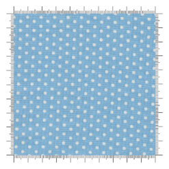 Animal Park Fun Bluebird