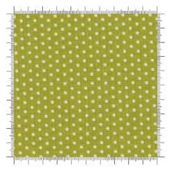 Animal Park Fun Iguana