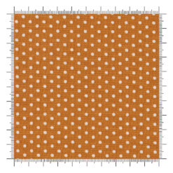 Animal Park Fun Tiger