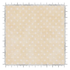 Winsome Tonal Dots Cream
