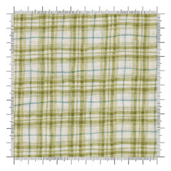 Winsome Plaid Celery