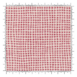 Winsome Tiny Checks Petal