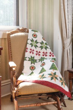 Elm Creek Quilts Christmas 11 11658 4