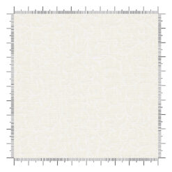 Essentials White on Cream Scroll